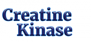 Creatine Kinase, Energy Metabolism and Health